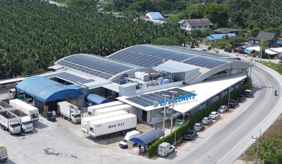 CB Coconuts Co.,Ltd.